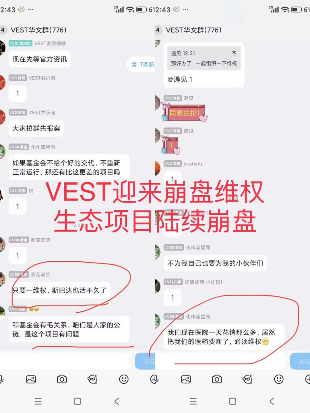 原文相关图片4